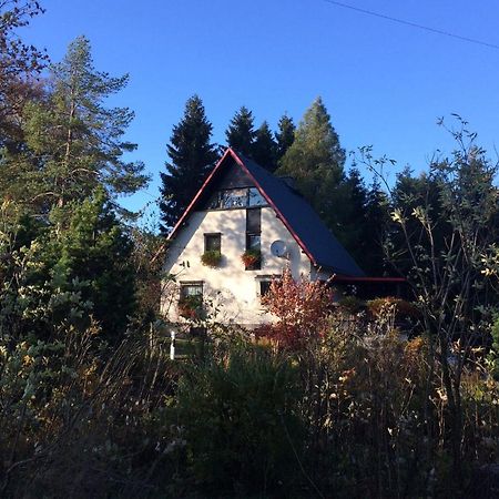 Apartamento Haus am Gründel Altenberg  Exterior foto