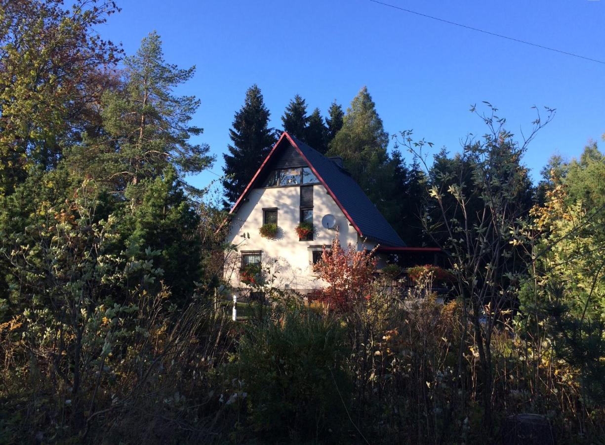 Apartamento Haus am Gründel Altenberg  Exterior foto